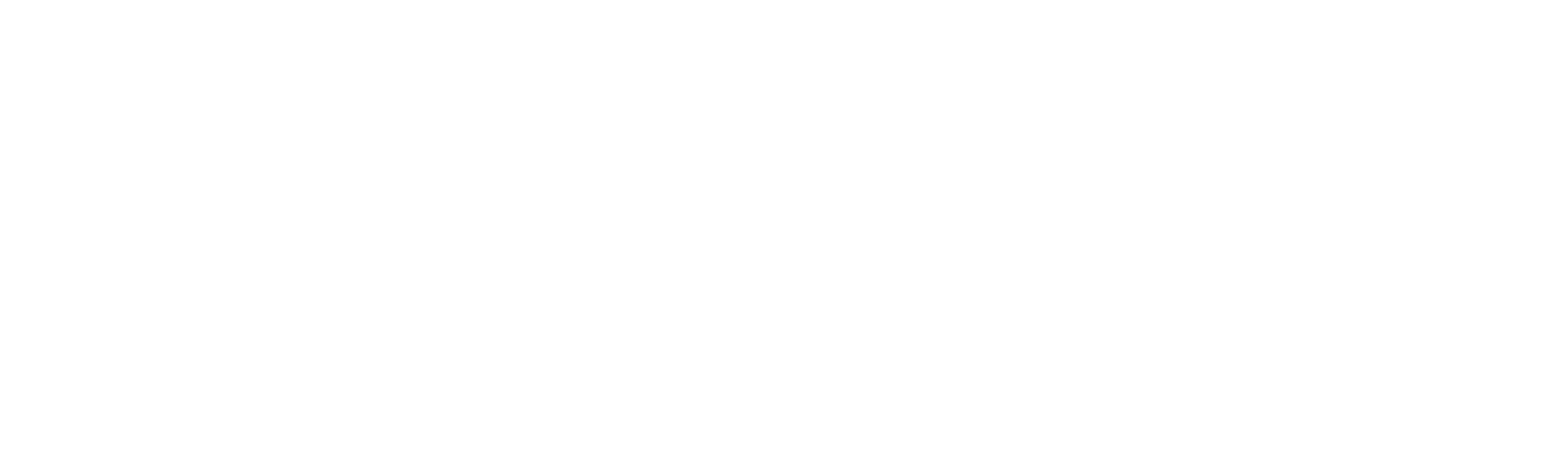 GSS Cyber Solutions